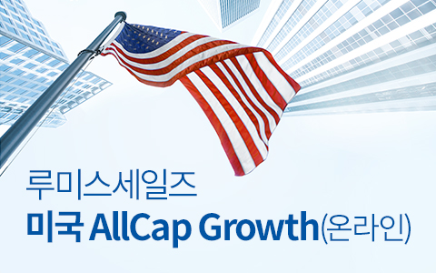 [랩서비스] 루미스세일즈 미국AllCap Growth